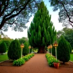 Jardin De Fiestas Los Pinos – Jardín de eventos en Heroica Puebla de Zaragoza