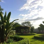 Jardín Los Magueyes – Jardín de eventos en Morelia